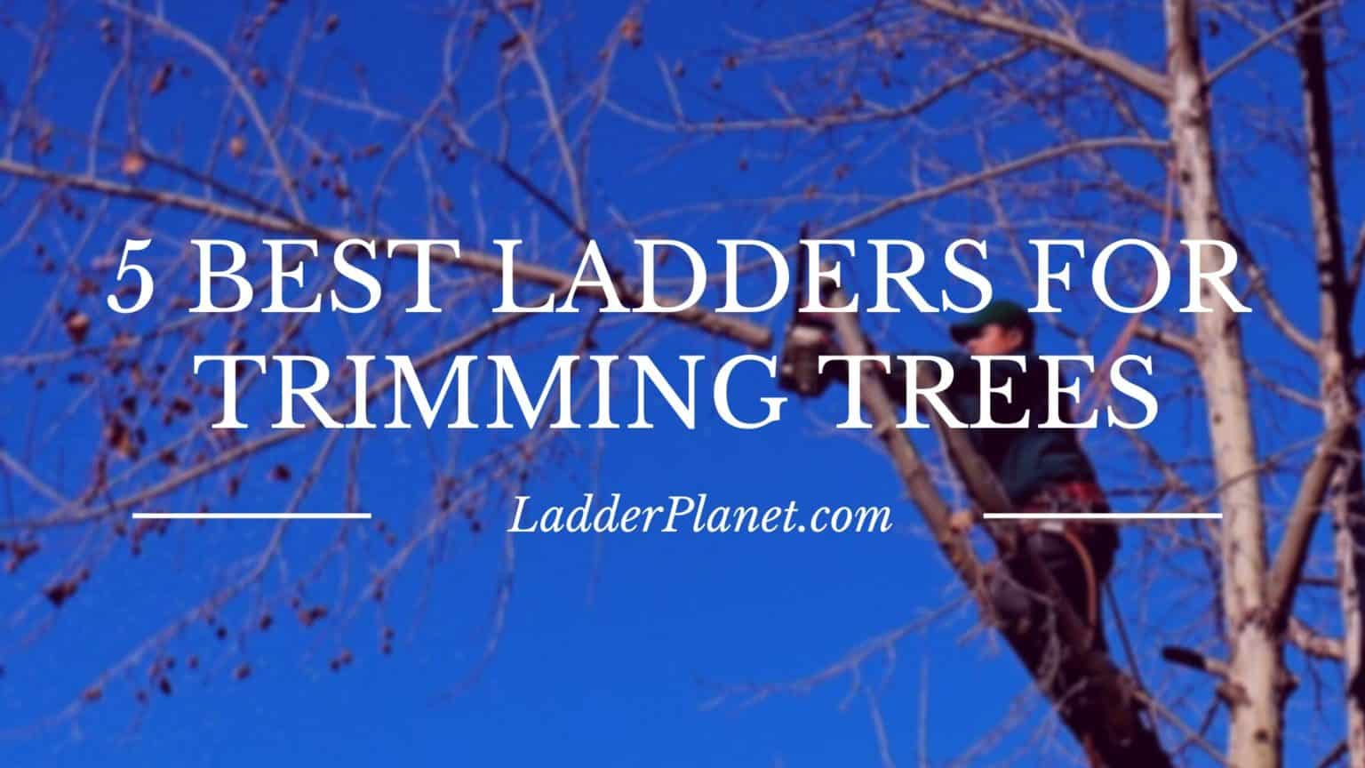 5 Best Ladders For Trimming Trees Top Tree Ladders