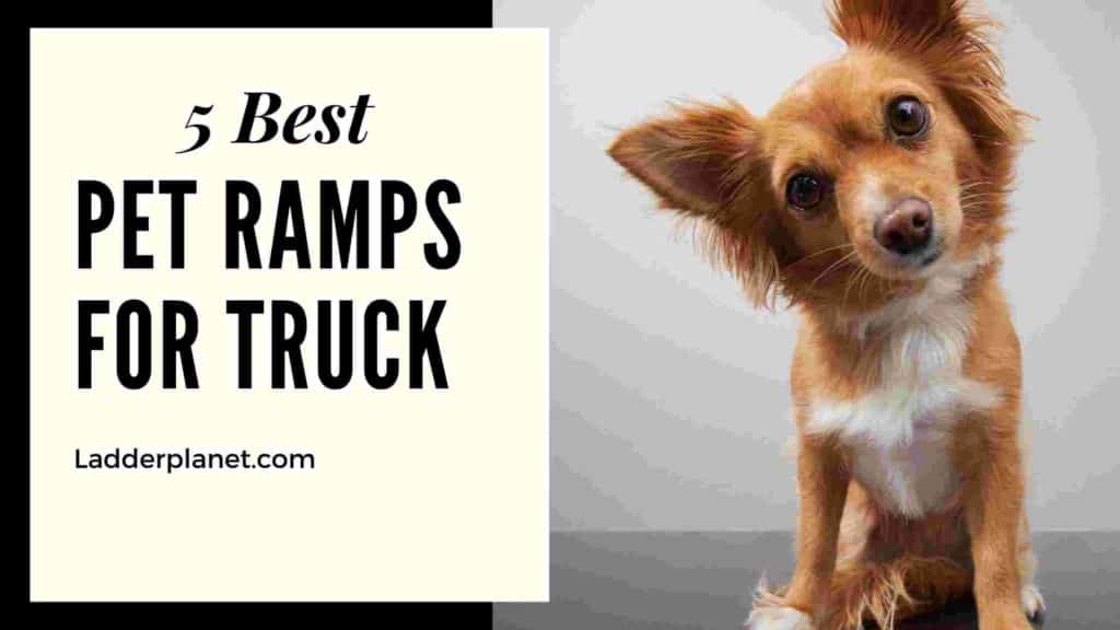 Pet Ramps For Truck